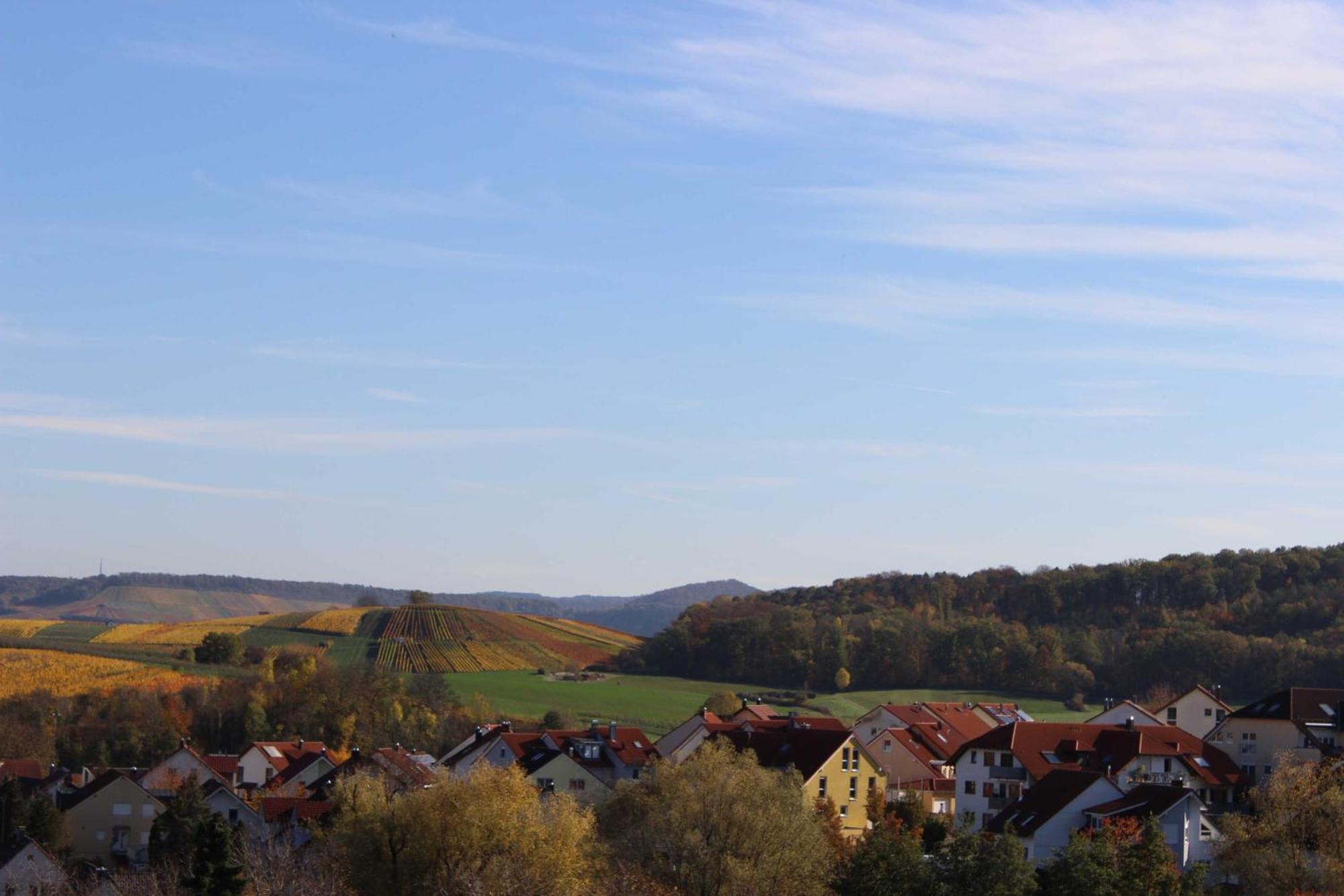 Gaestehaus Zum Wolffenturm Lehrensteinsfeld Kamer foto