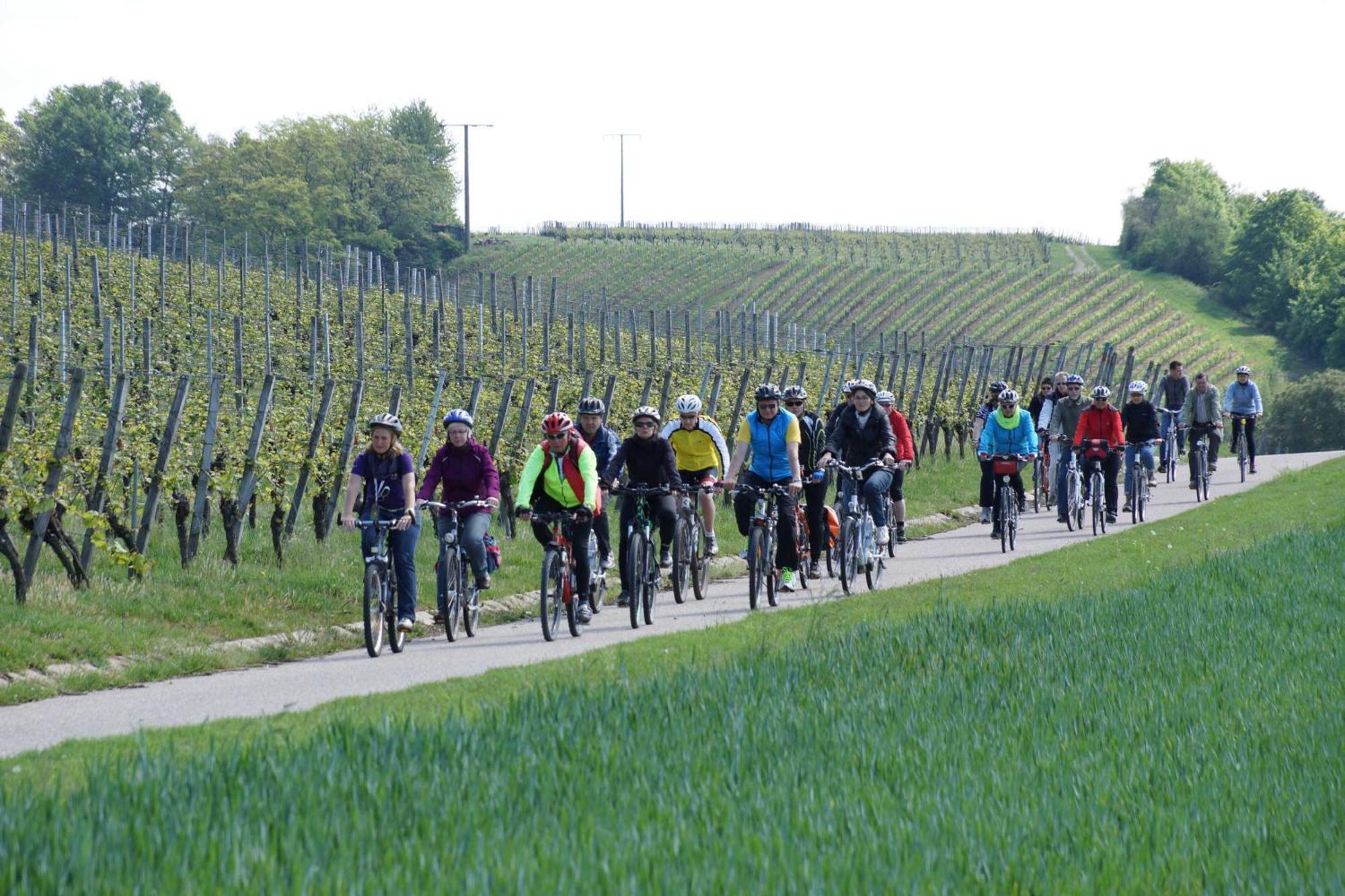 Gaestehaus Zum Wolffenturm Lehrensteinsfeld Buitenkant foto
