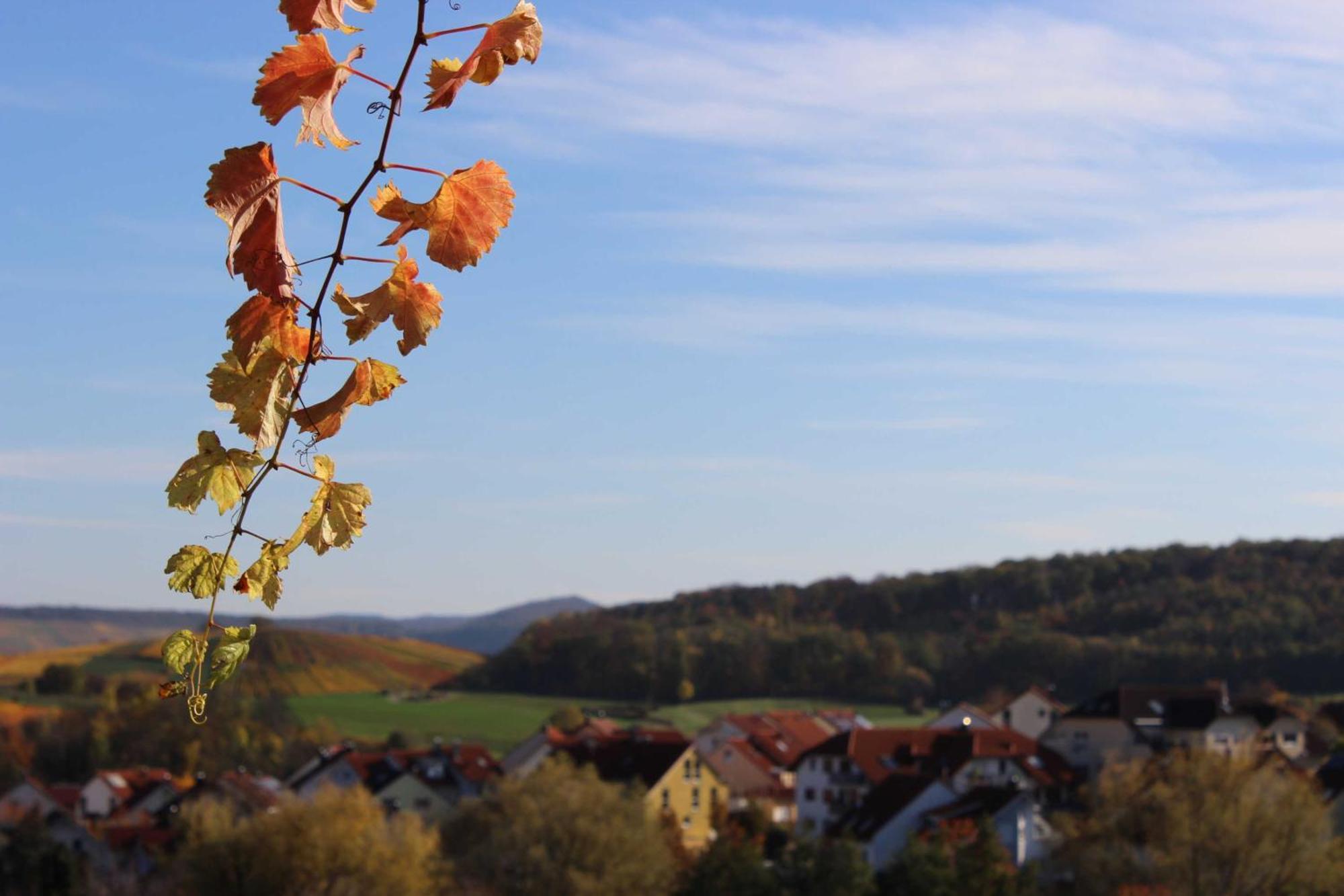 Gaestehaus Zum Wolffenturm Lehrensteinsfeld Buitenkant foto
